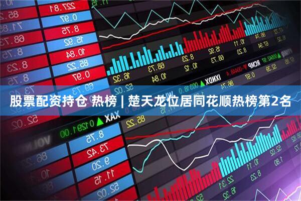 股票配资持仓 热榜 | 楚天龙位居同花顺热榜第2名