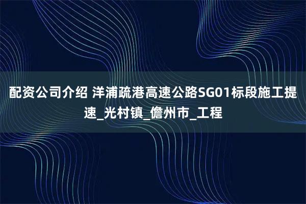 配资公司介绍 洋浦疏港高速公路SG01标段施工提速_光村镇_儋州市_工程